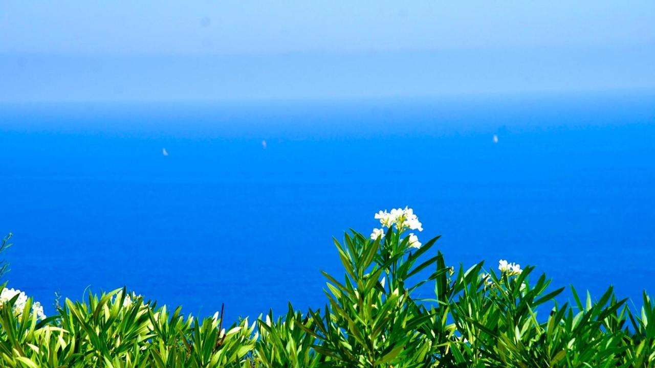 Villa Petale De Rose Cavalaire-sur-Mer Ngoại thất bức ảnh